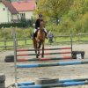 Babie Lato 2016